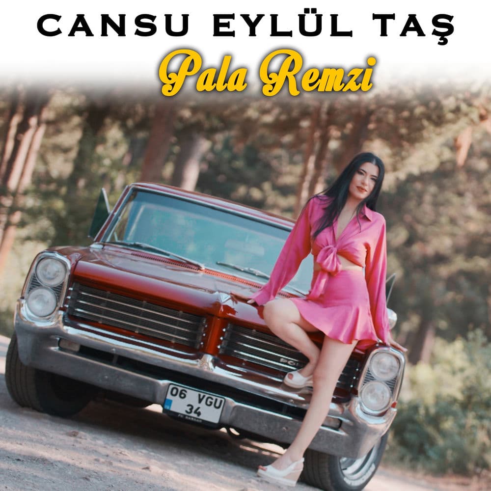 Birileri Kandırmış