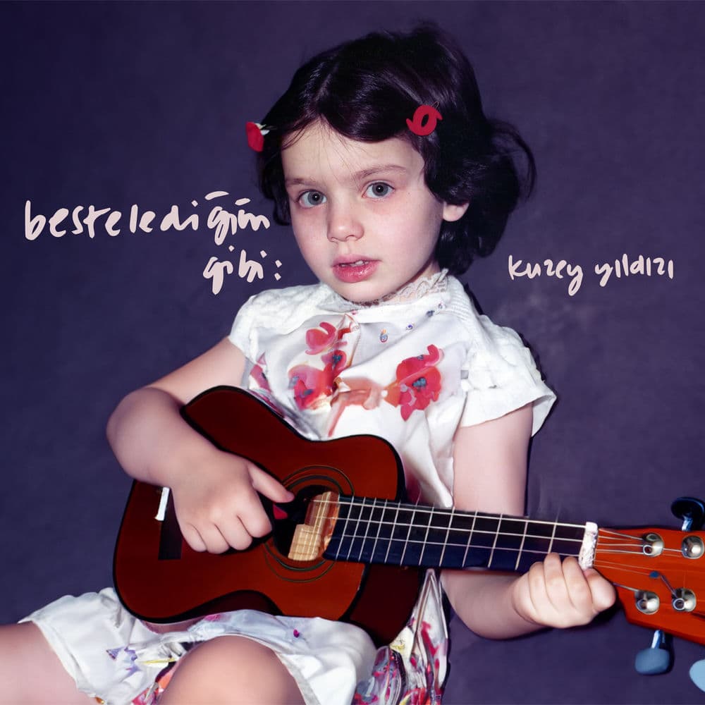 Kuzey Yıldızı