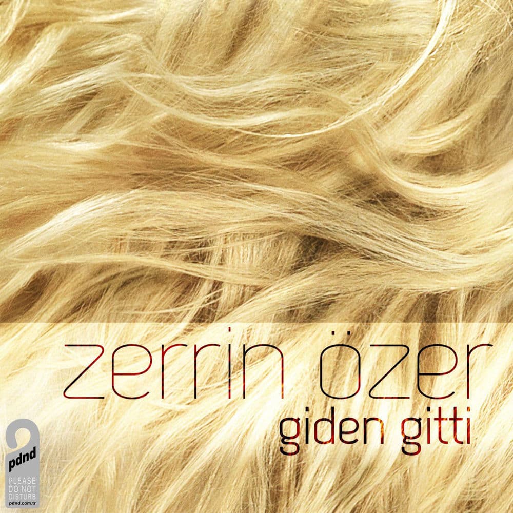 Giden Gitti