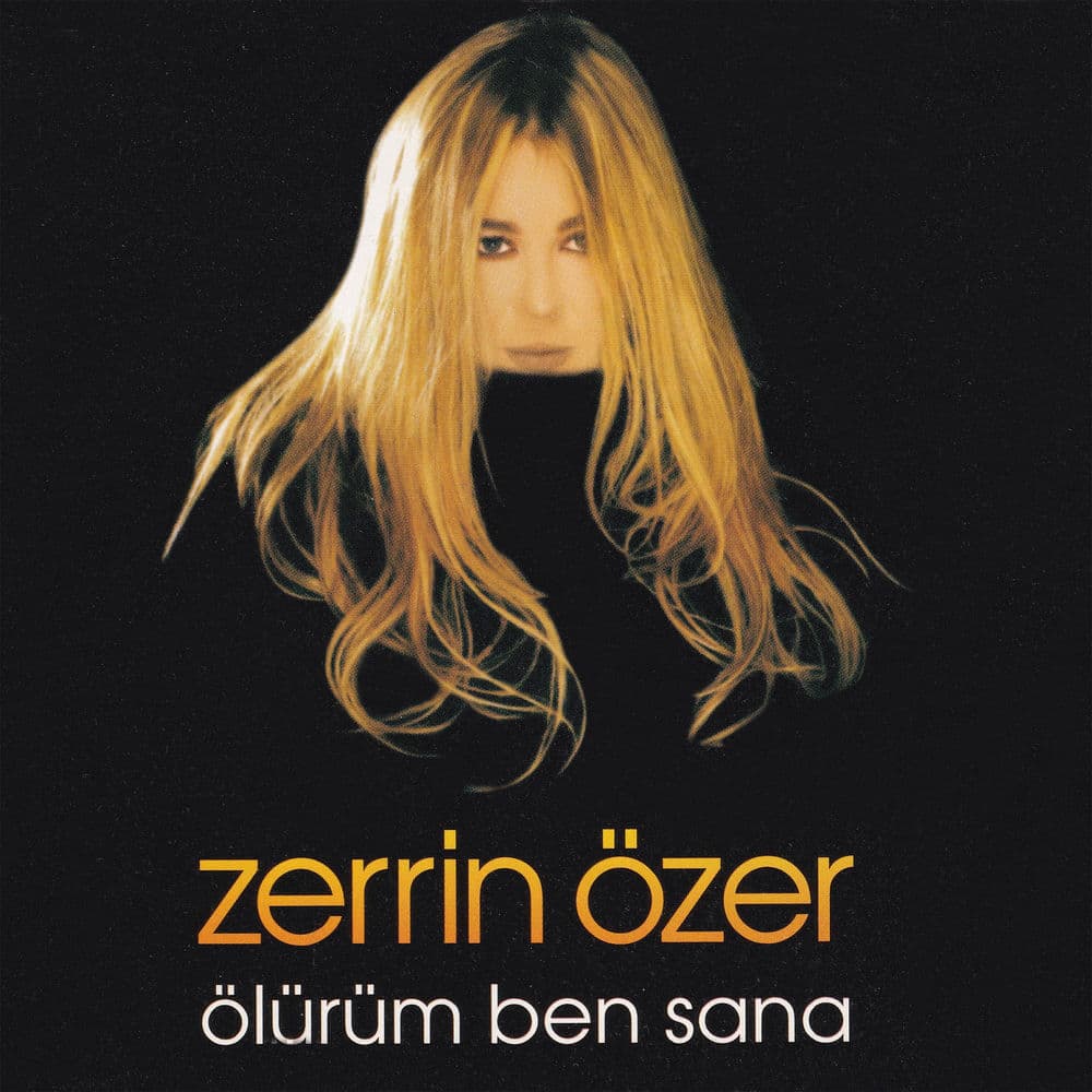 Ben Seni Sevmeyi Sevdim
