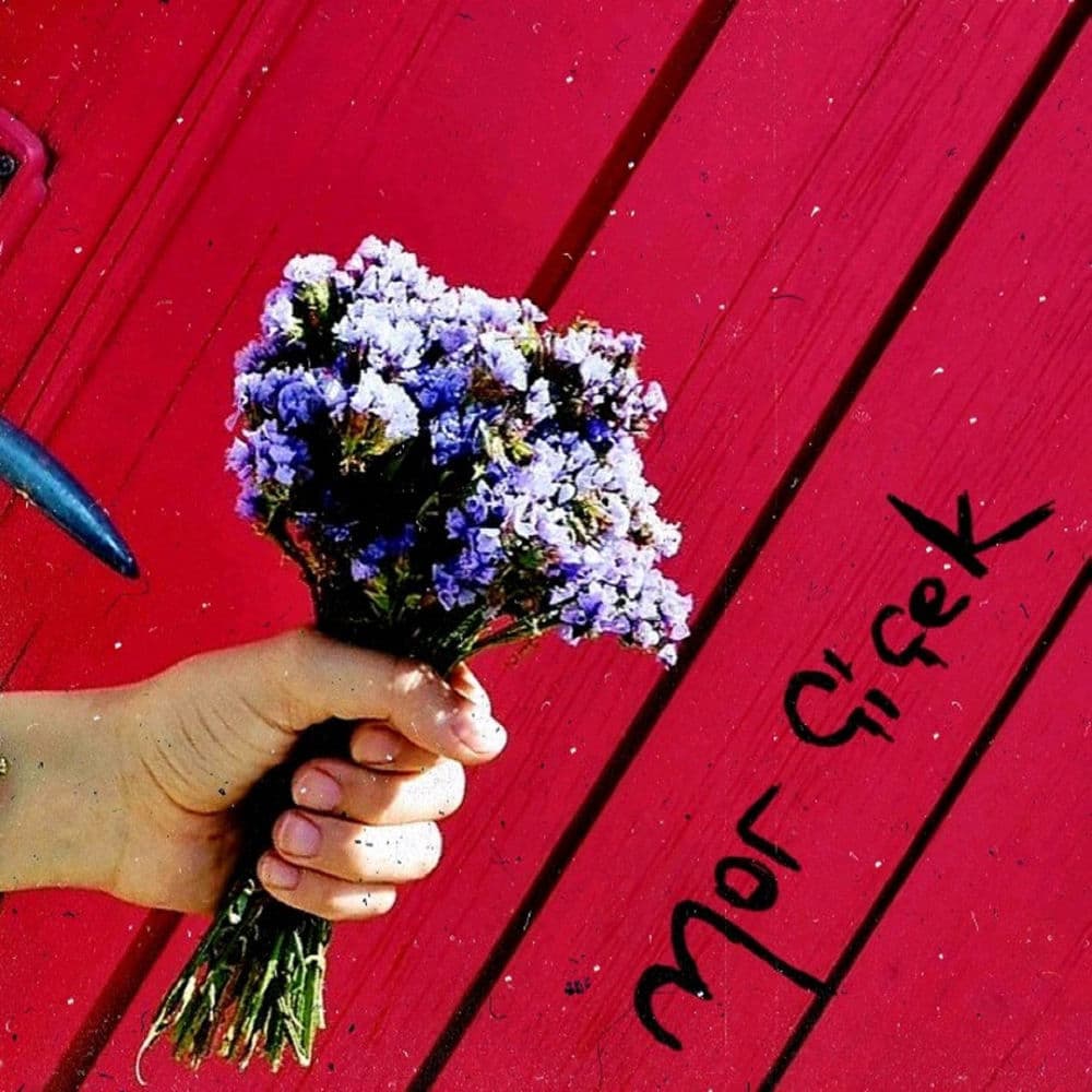 Mor çiçek