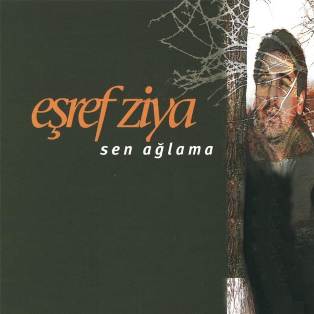 Ne Hallerdeyim