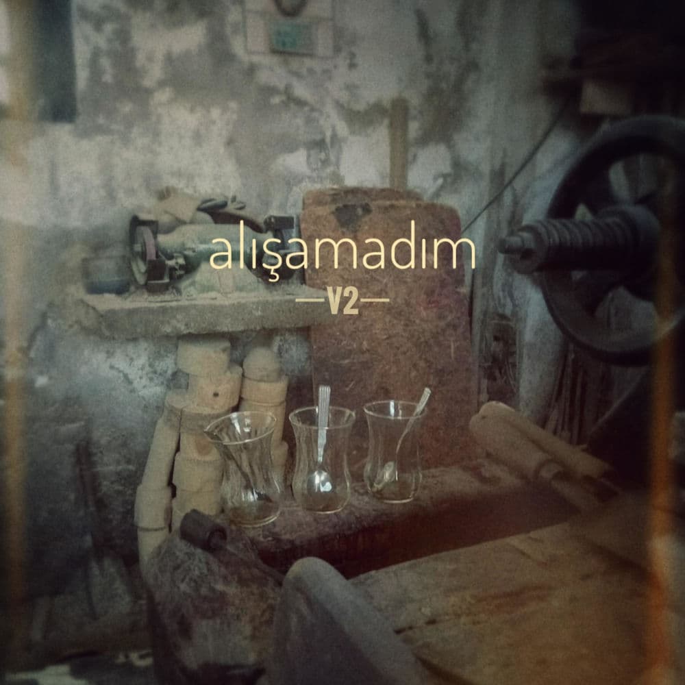 Alışamadım