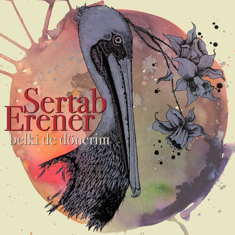 Belki de Dönerim