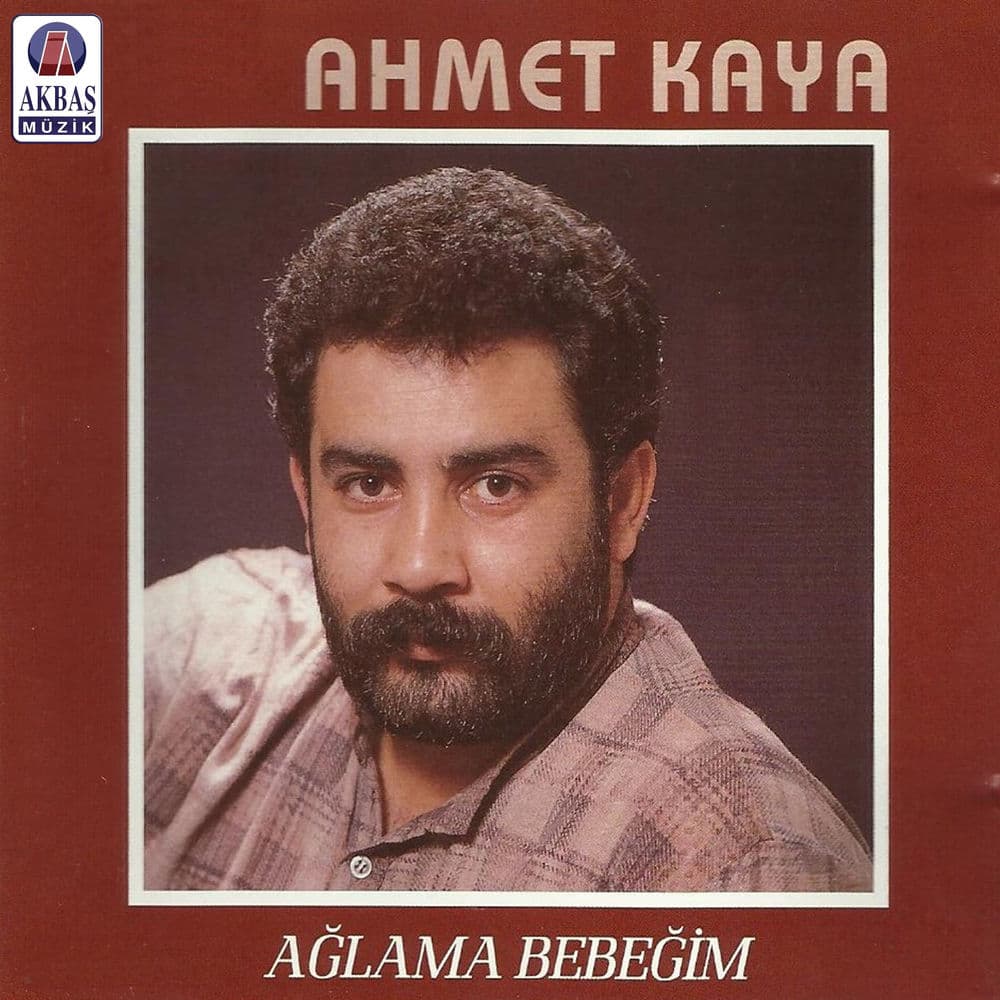 Aynı Daldaydık