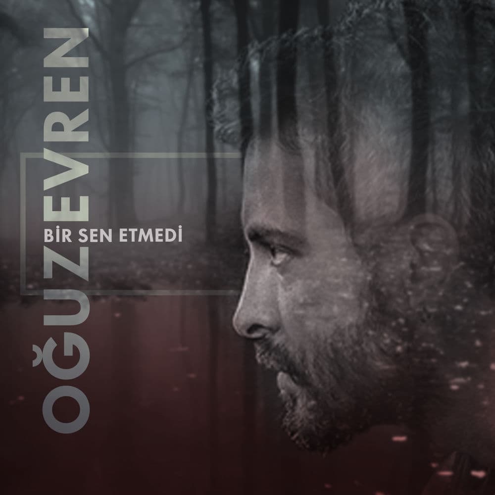 Bir Sen Etmedi
