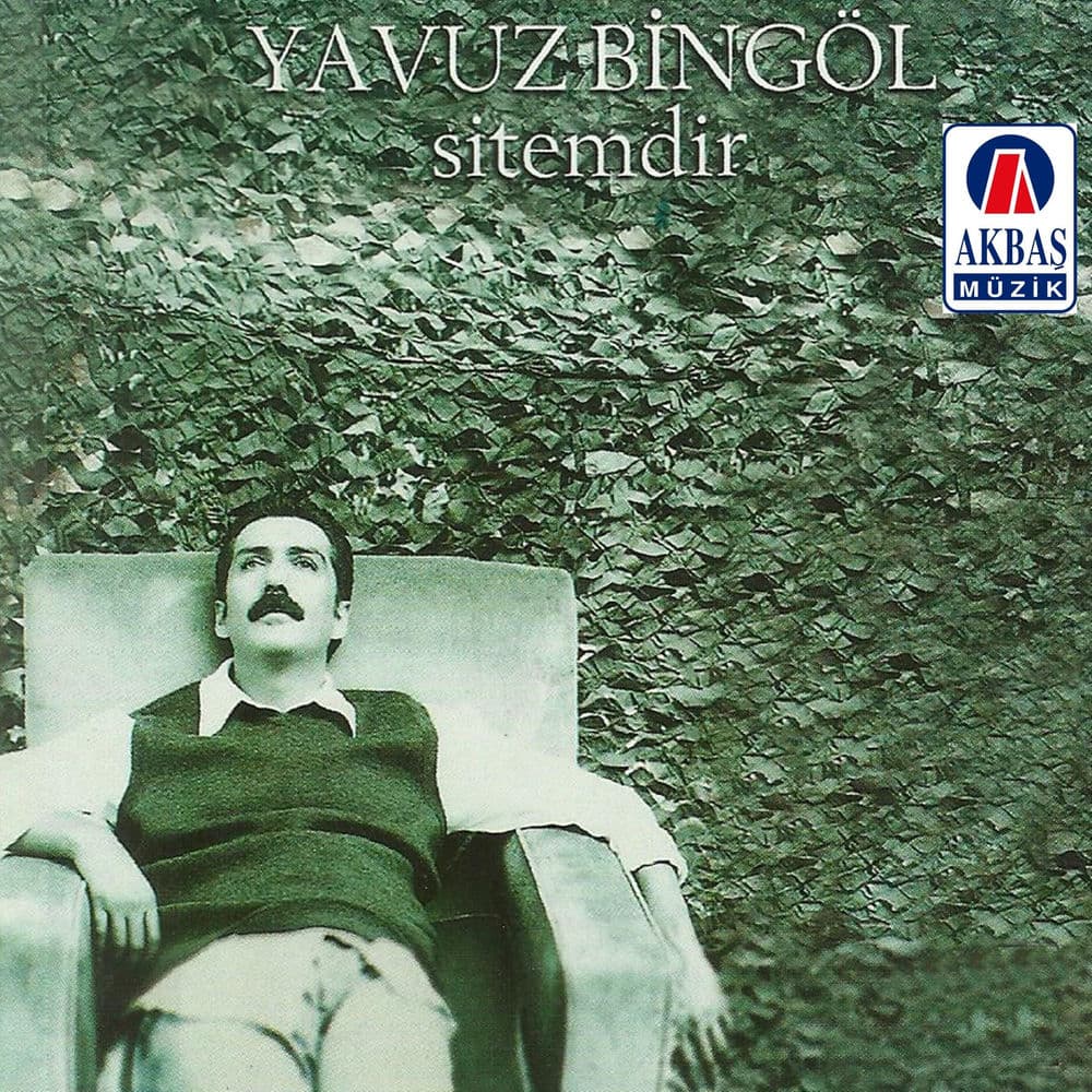 Yarim Nerdesin