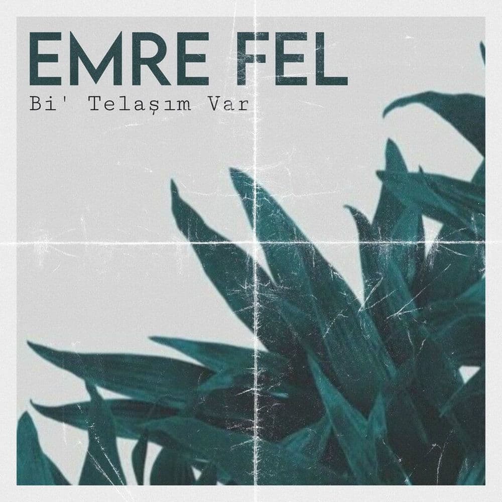 Bi Telaşım Var