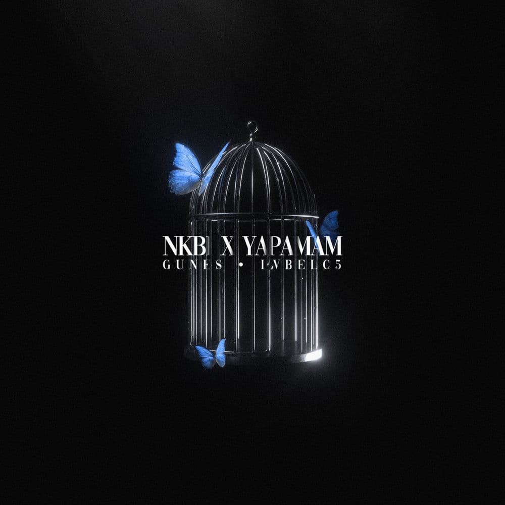 NKBİ
