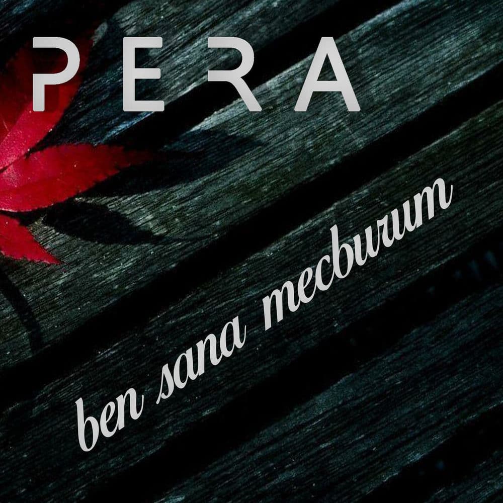 Ben Sana Mecburum